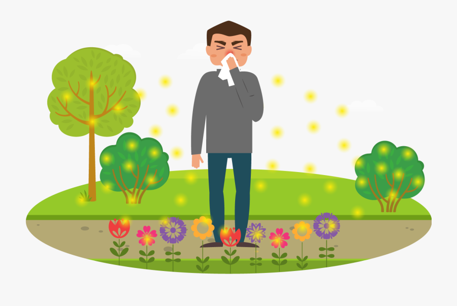 What Is Hay Guide - Hayfever Cartoon, Transparent Clipart