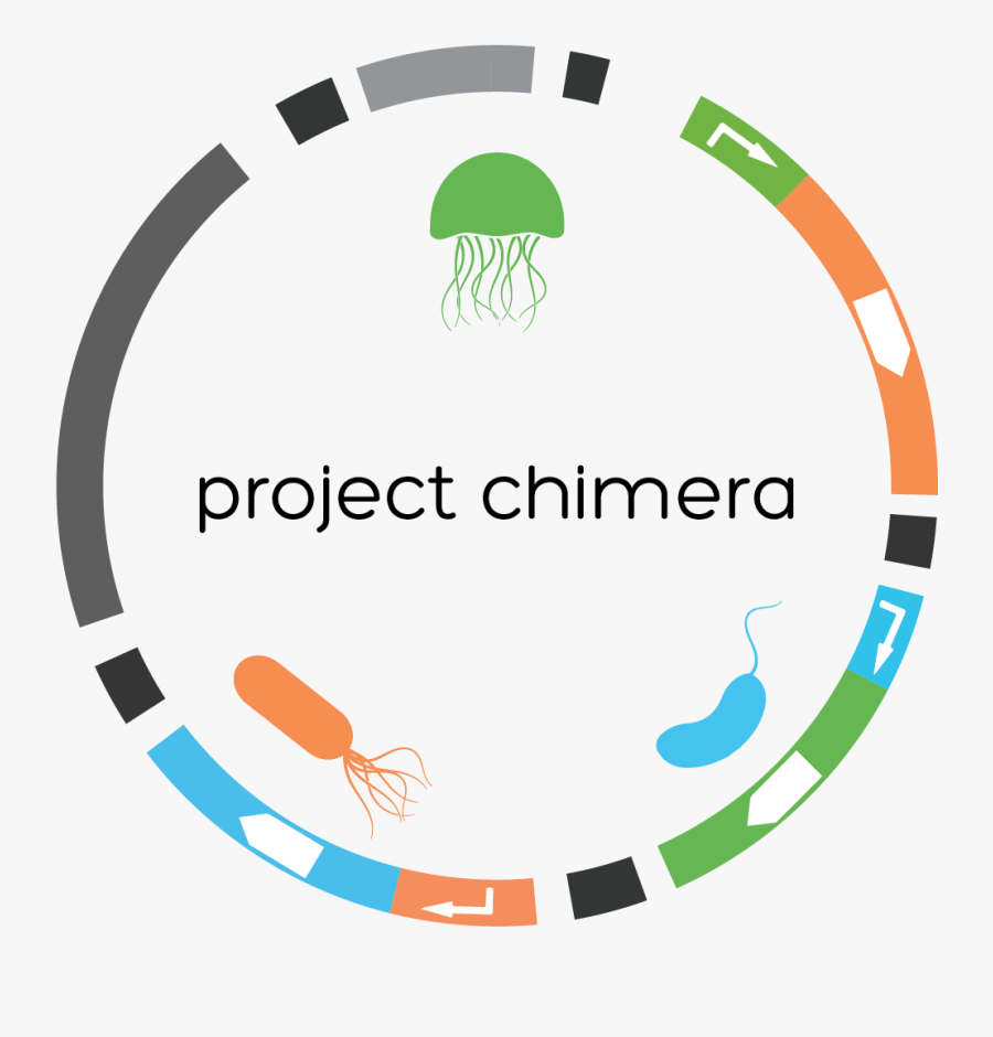 Experiment Clipart Biologist - Circle, Transparent Clipart