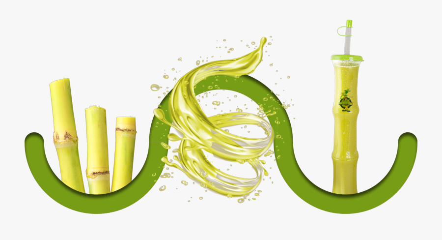 Process - Sugar Cane Juice Logo, Transparent Clipart