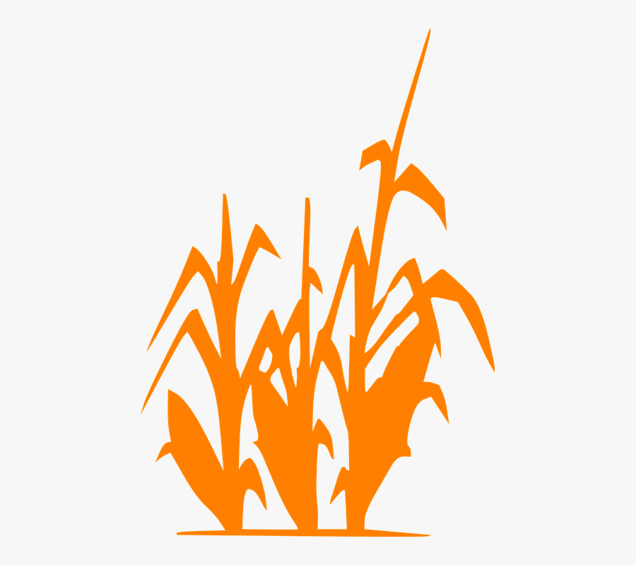 Corn Stalk Black And White Clip Art, Transparent Clipart