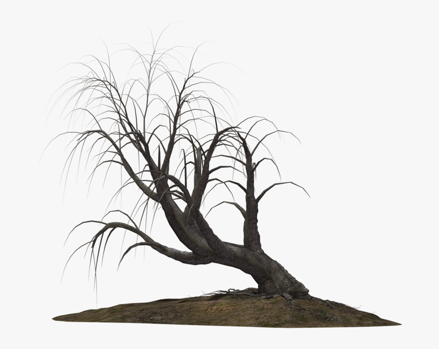 Transparent Creepy Eyes Png - Creepy Trees Png, Transparent Clipart