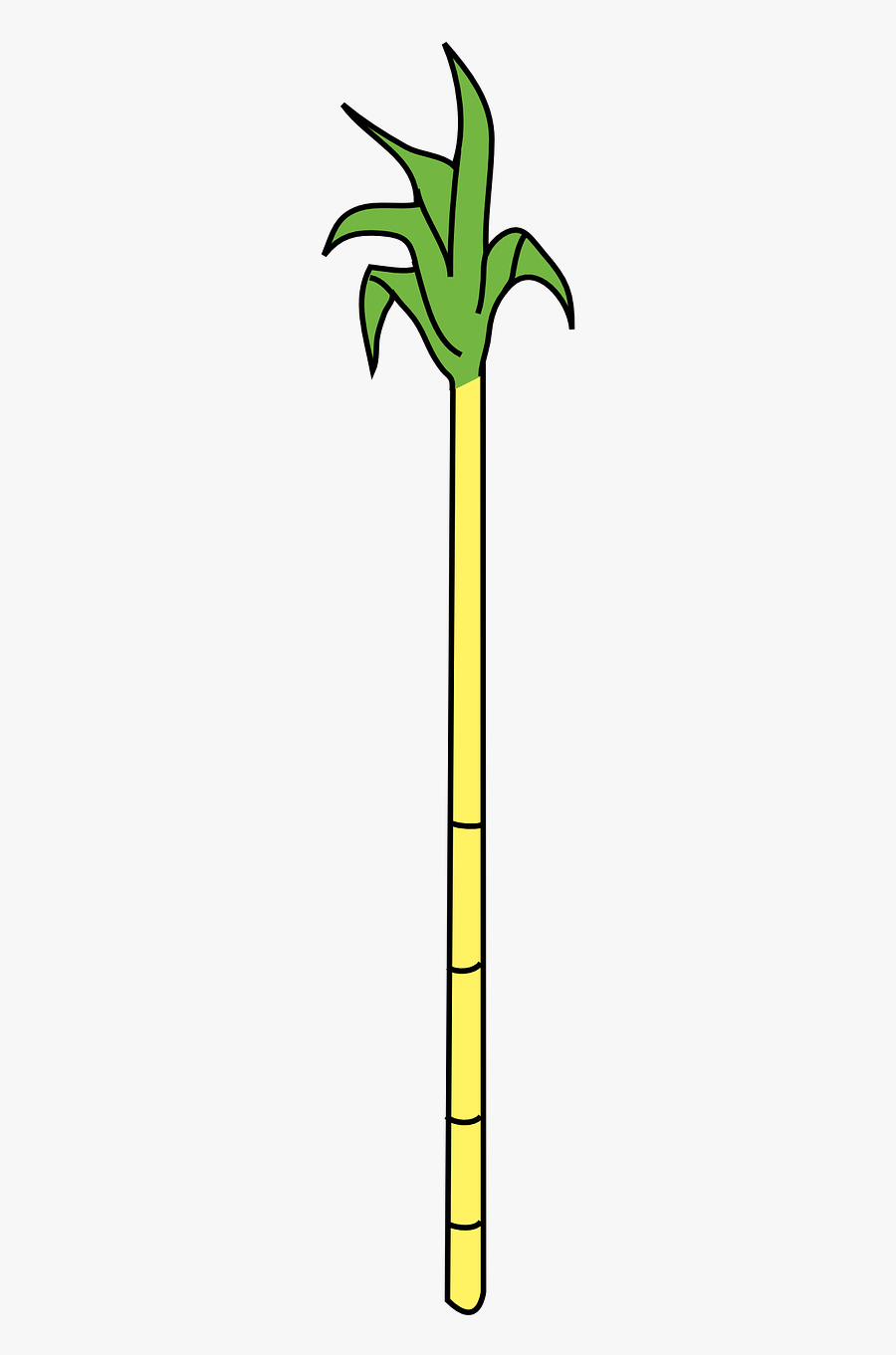 Cane Drawing Sugarcane Plant - Dibujo Caña De Azucar Animada Png, Transparent Clipart