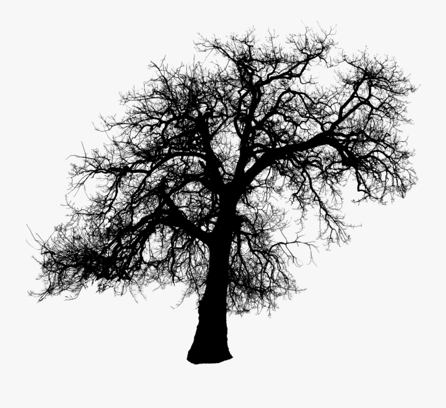 Tree Silhouette Clip Art - Dead Tree Silhouette Png, Transparent Clipart