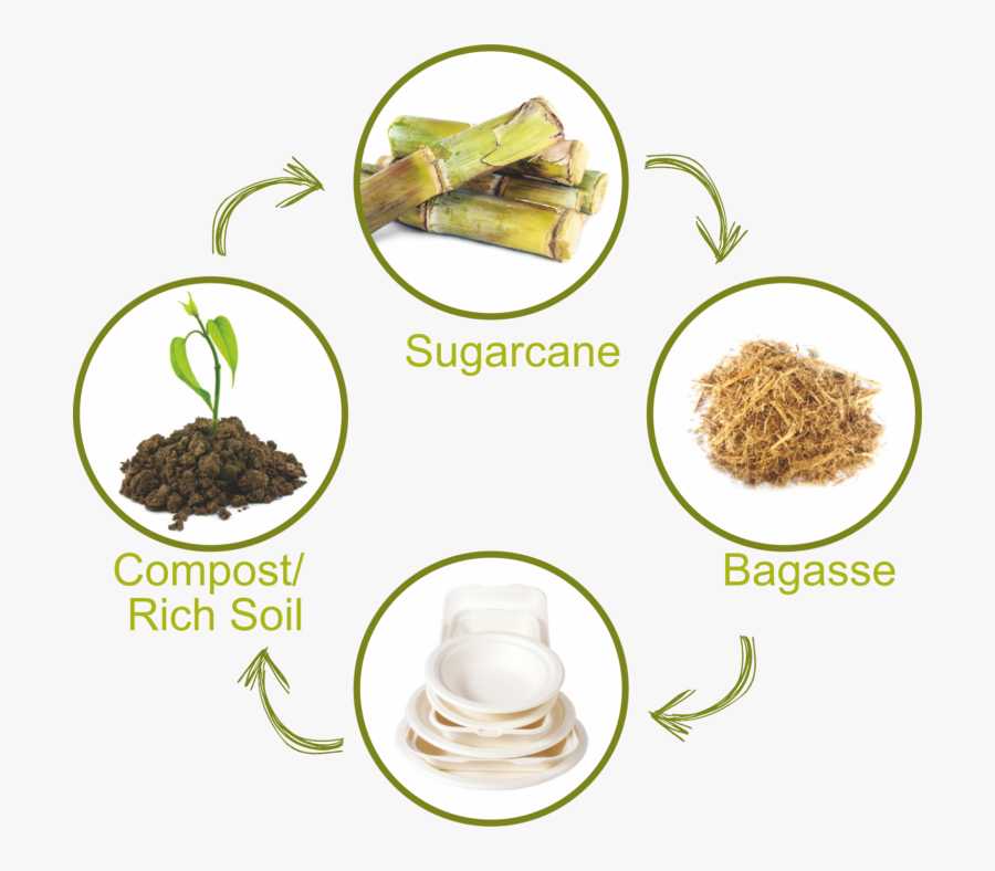 Nilgiri Tea, Transparent Clipart