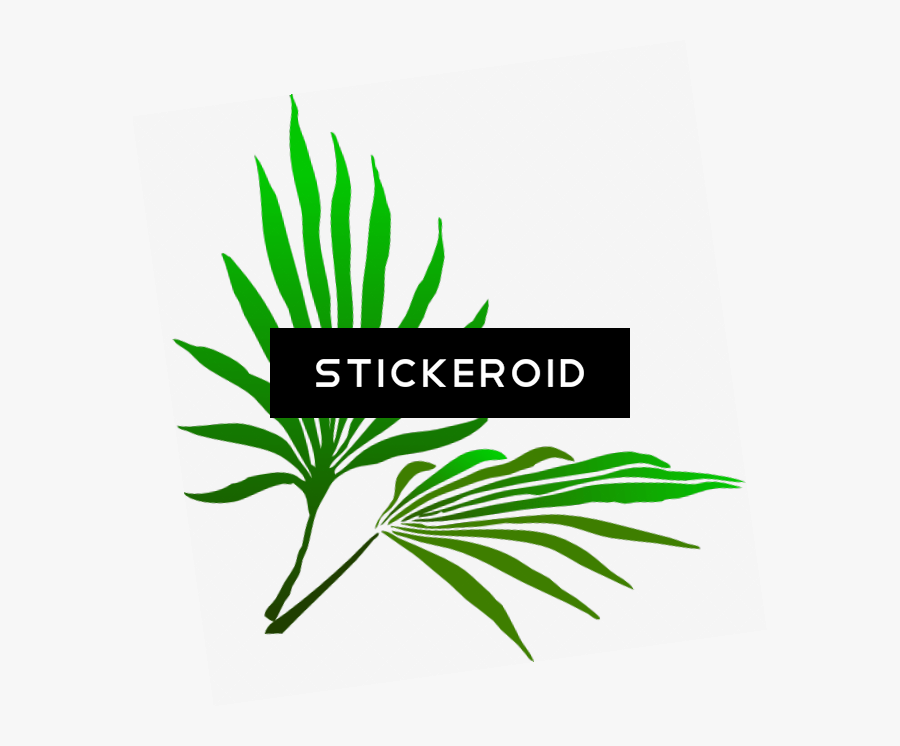 Sukkot Palm Branch - Palm Frond Clip Art, Transparent Clipart