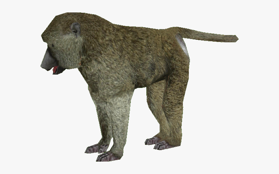 Baboons, Transparent Clipart