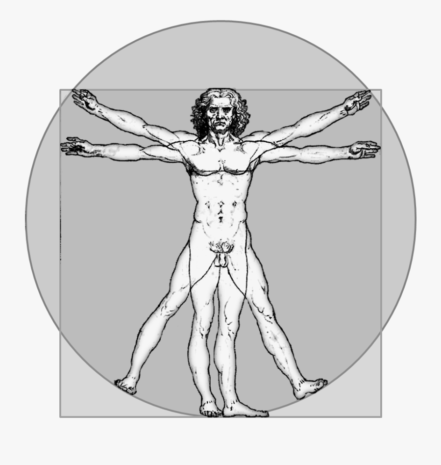 Transparent Human Figure Png - Da Vinci Man Png, Transparent Clipart