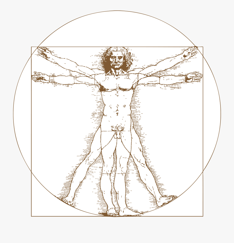 Leonardo Da Vinci Vitruvian Man Tattoo , Png Download - Leonardo Da Vinci Vitruvian Man Png, Transparent Clipart