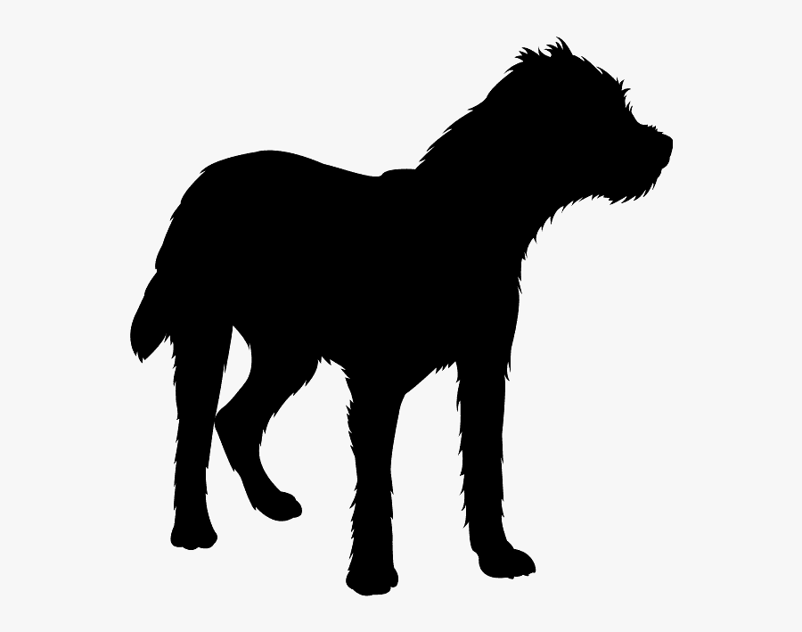 Horse Vector, Transparent Clipart
