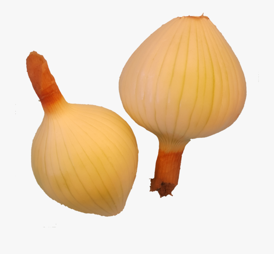 1532380946151 - Yellow Onion, Transparent Clipart