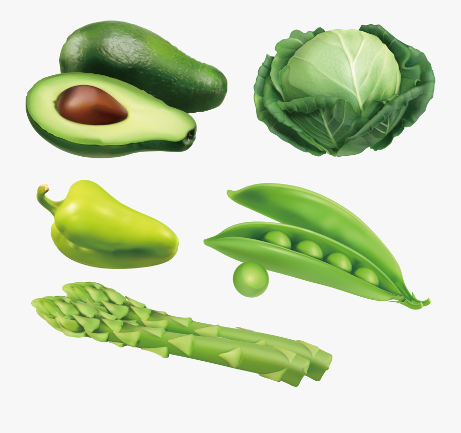 Svg Avocado Vegetable Auglis - Cabbage Green Clipart, Transparent Clipart