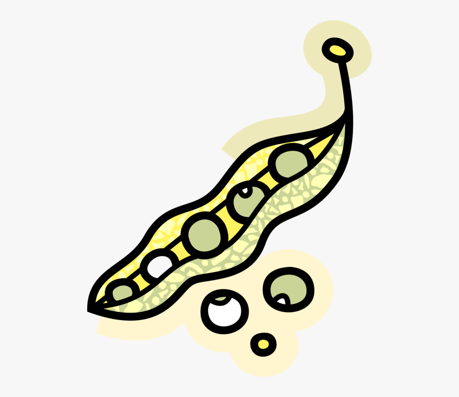 Vector Illustration Of Seed-pod Edible Vegetable Peas, Transparent Clipart