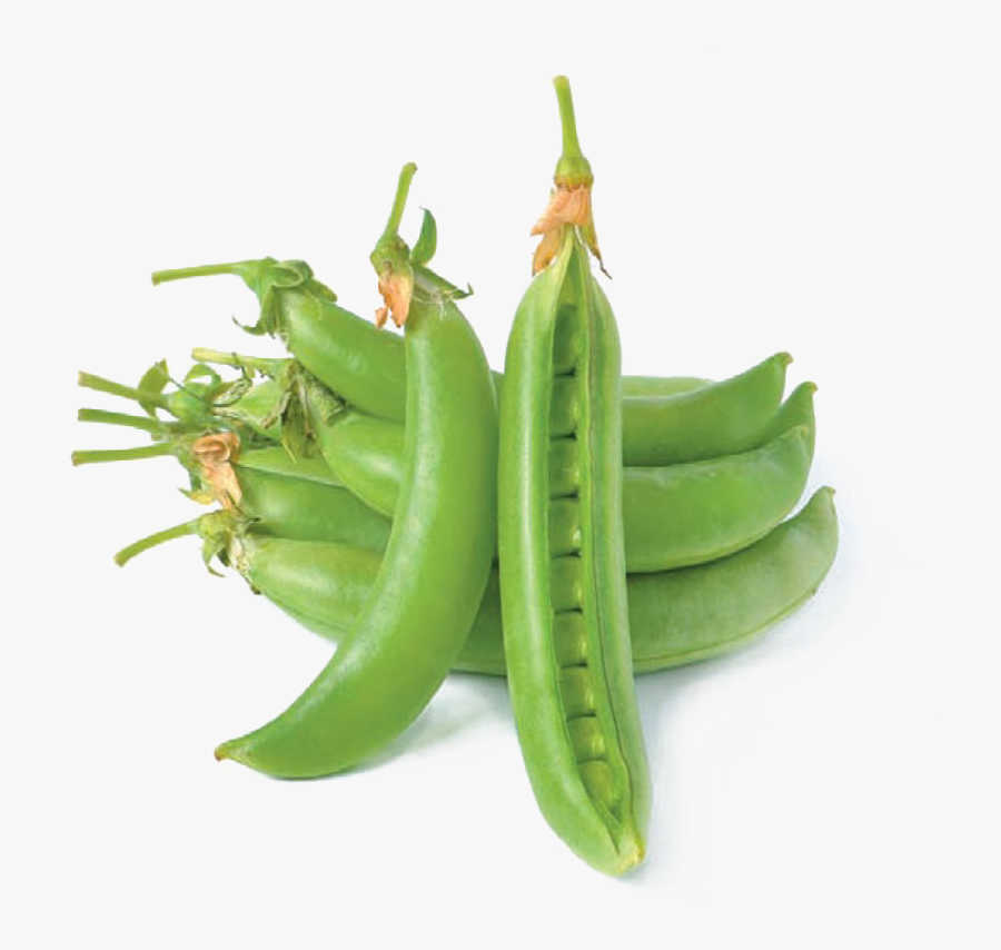 Pea Png Hd Quality - Snap Pea, Transparent Clipart