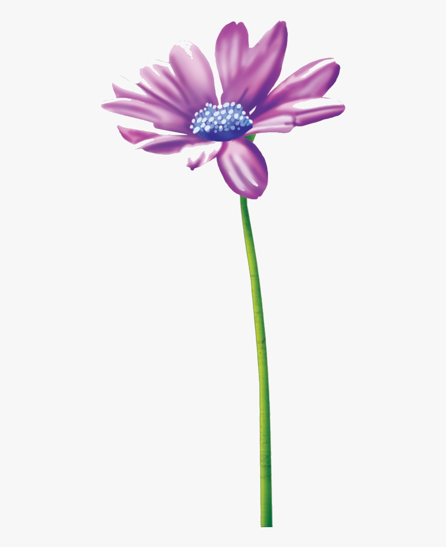 Thinking Of You Flower Clipart Tube Clip Art Stationery - African Daisy, Transparent Clipart