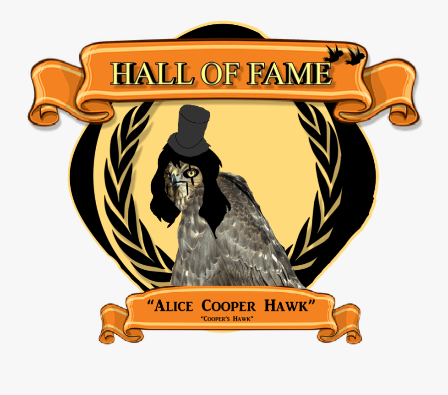 Hawk Clipart Design - Colegio Isaac Newton Paraiso, Transparent Clipart