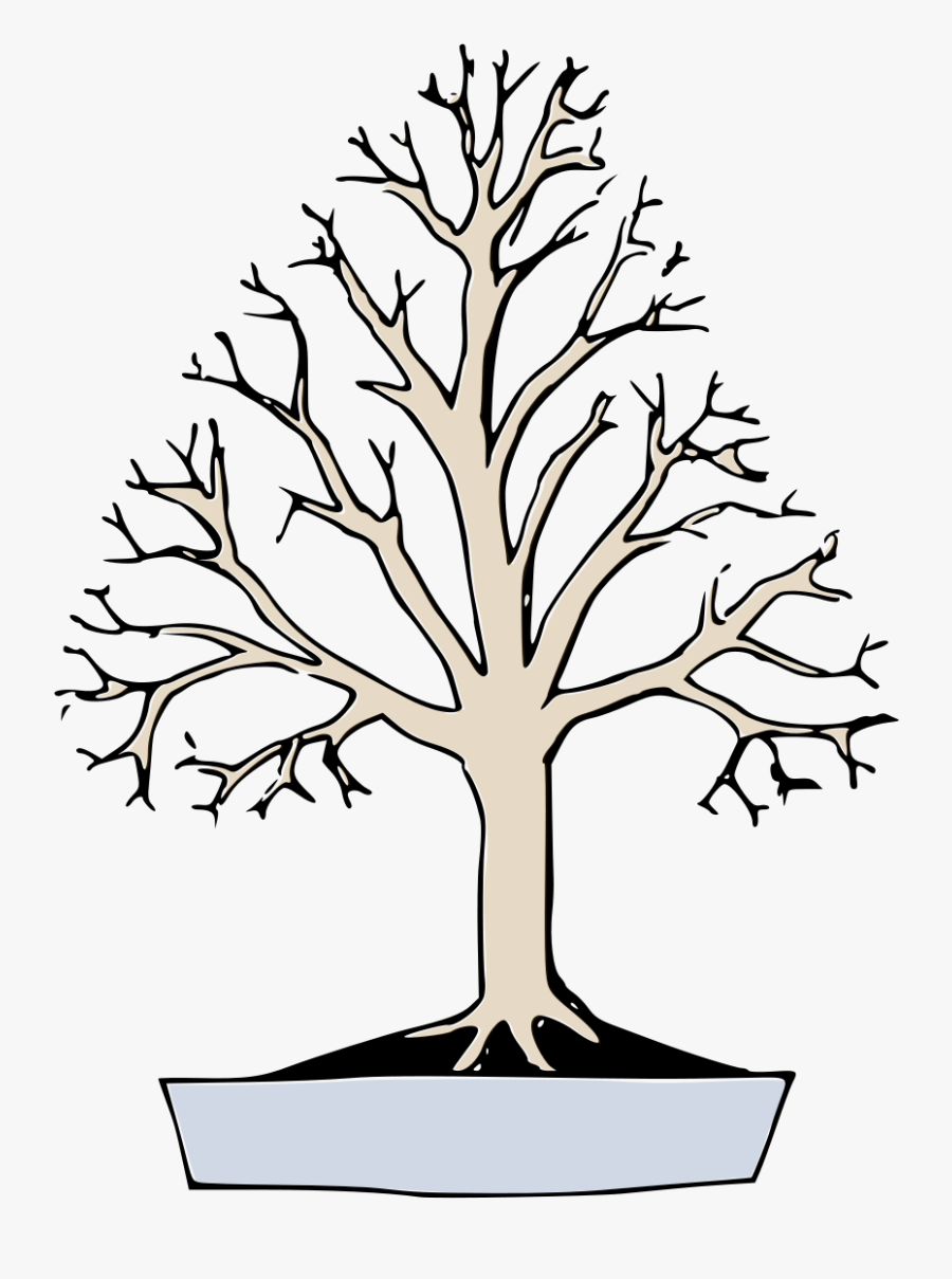 Bonsai Styles, Transparent Clipart
