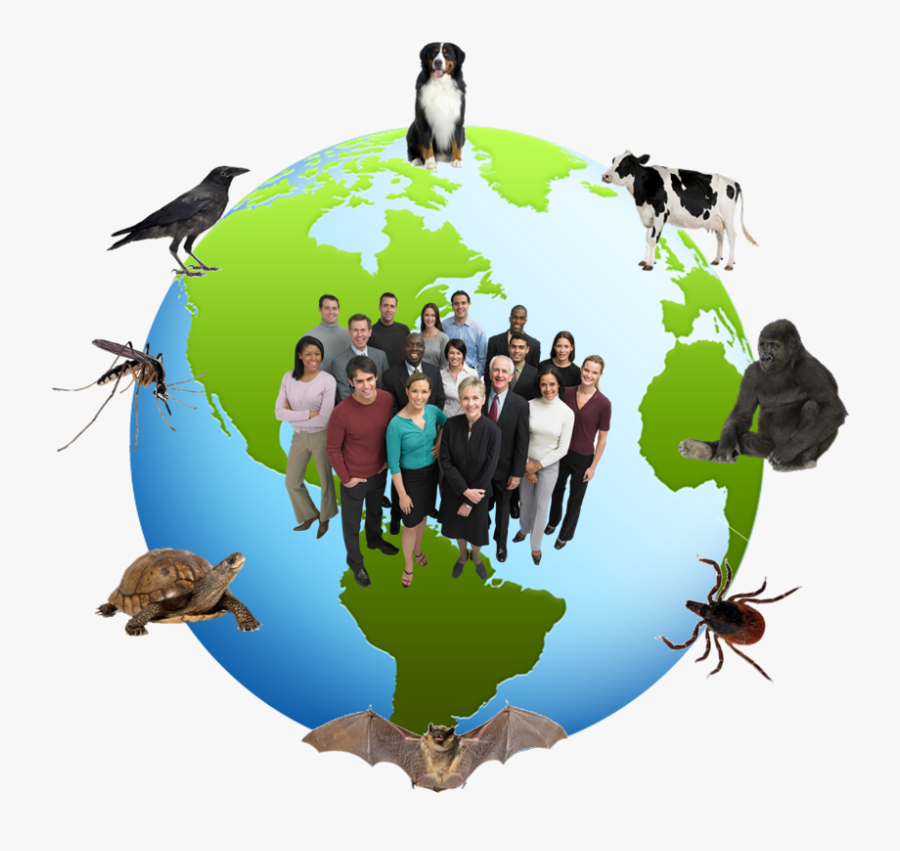 Deadly Diseases That Can - 6th July World Zoonoses Day, Transparent Clipart