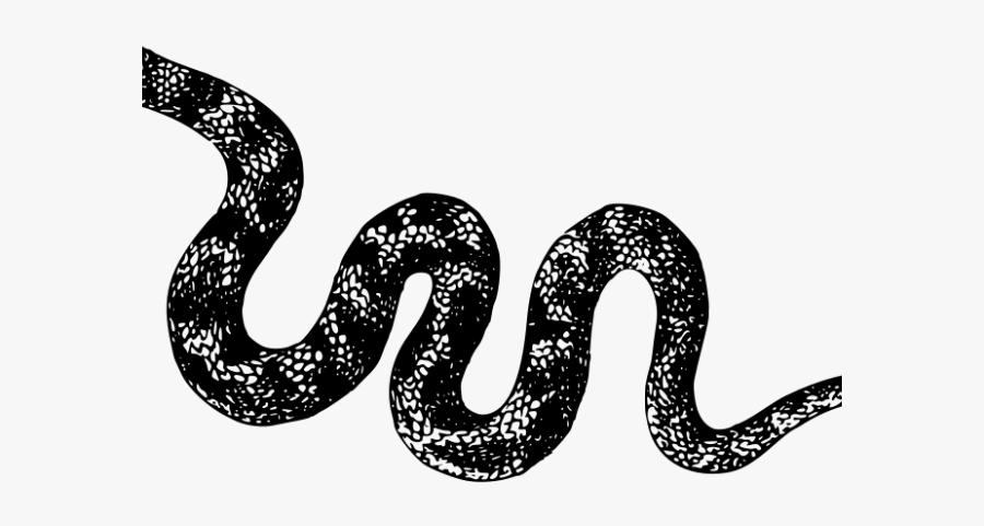 Long Clipart Water Snake - Snake Png Black And White, Transparent Clipart
