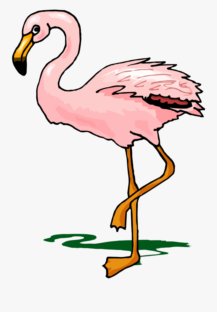 Flamingo Clipart, Transparent Clipart