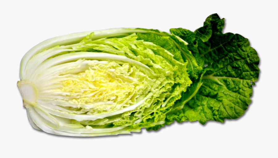 Korean Cabbage Png, Transparent Clipart