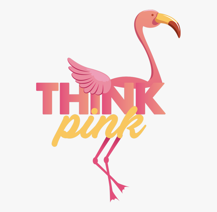 Greater Flamingo, Transparent Clipart