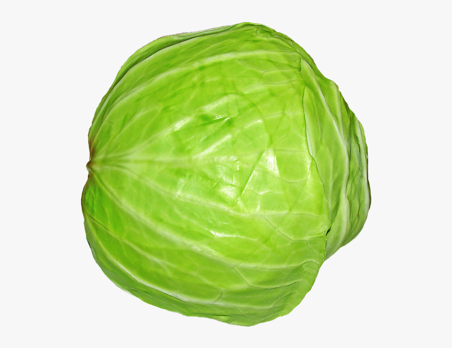 Cabbage White Png, Transparent Clipart