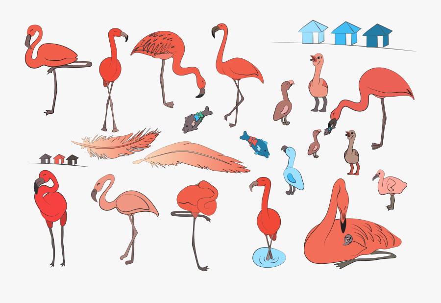 Flamingo Reef- Cute Flamingo"s Clipart Example Image, Transparent Clipart