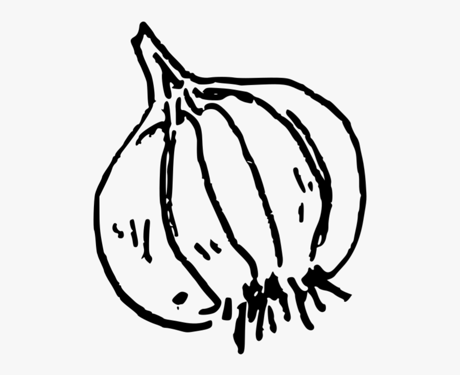 Drawing Vegetable Doodle - Garlic Doodle Png, Transparent Clipart