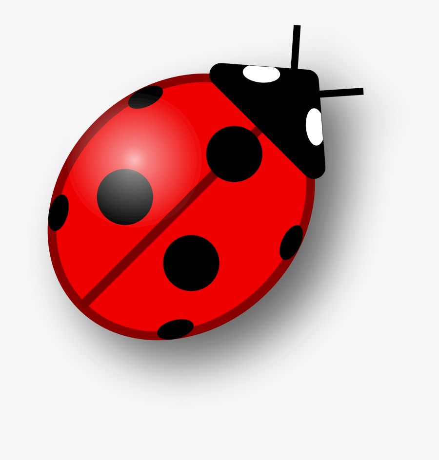 Ladybugs Clipart Simple - Ladybird Png, Transparent Clipart