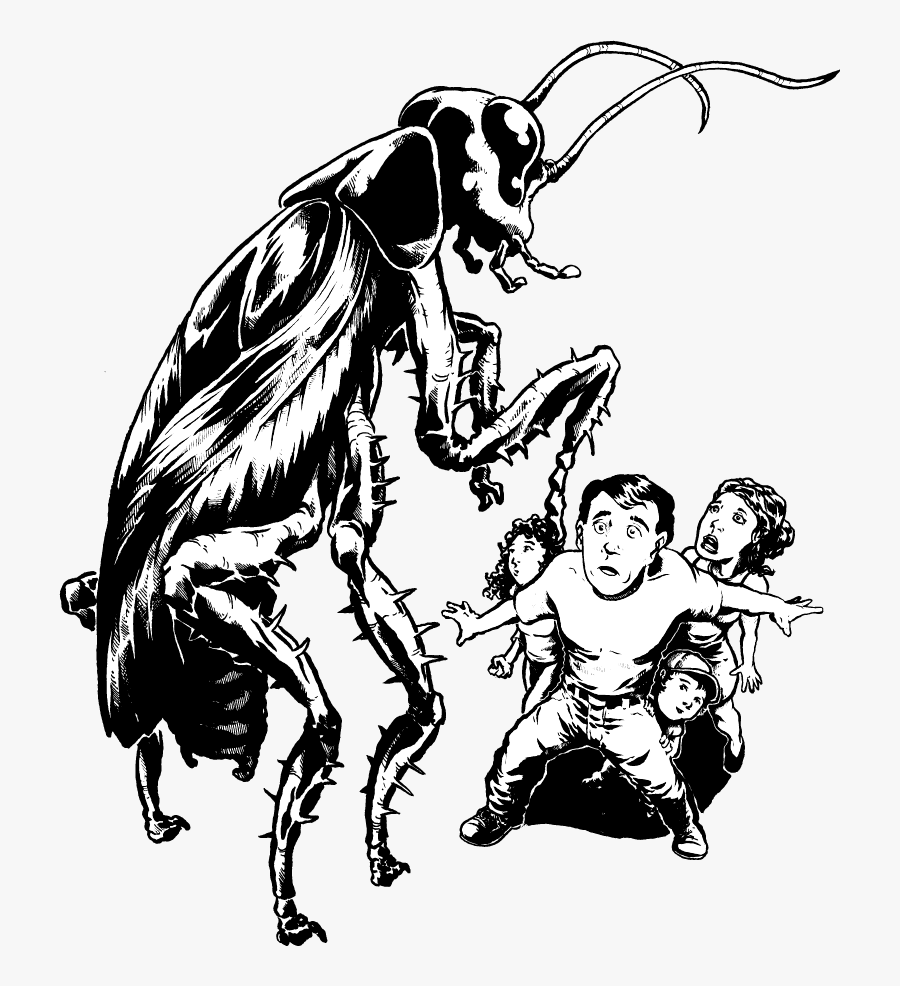 Collection Of Free Cockroach Drawing Captain Download - Illustration, Transparent Clipart