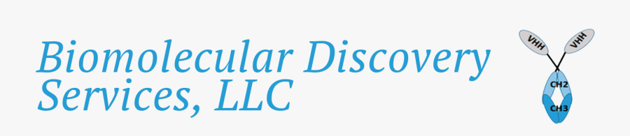 Biomolecular Discovery Services, Llc - Calligraphy, Transparent Clipart