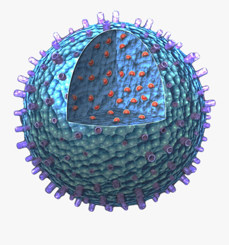 Lifnano Can Nanotech Flip Transparent Background - Circle, Transparent Clipart