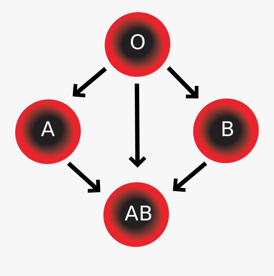 Blood Compatibility - Blood Types Transparent, Transparent Clipart