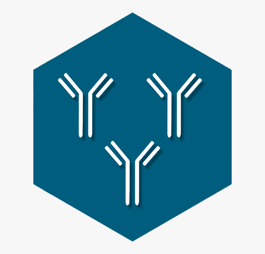 Polyclonal Antibodies - Graphic Design, Transparent Clipart