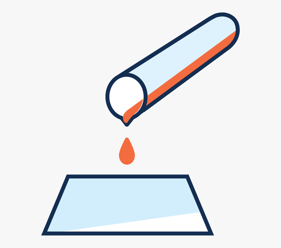 Western Blot Icon Icon, Transparent Clipart