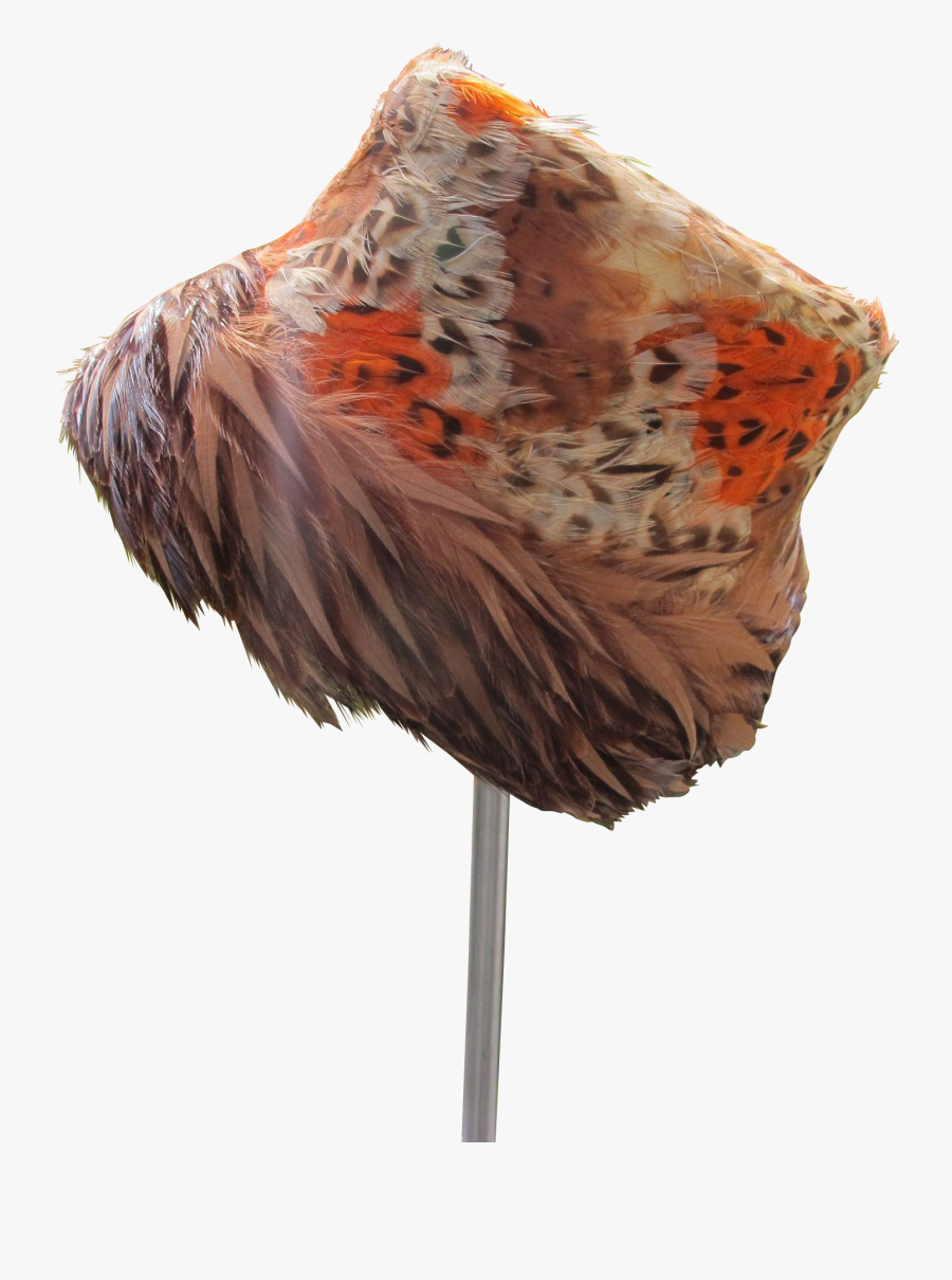 #vintagebeginshere At Www - Phasianidae, Transparent Clipart