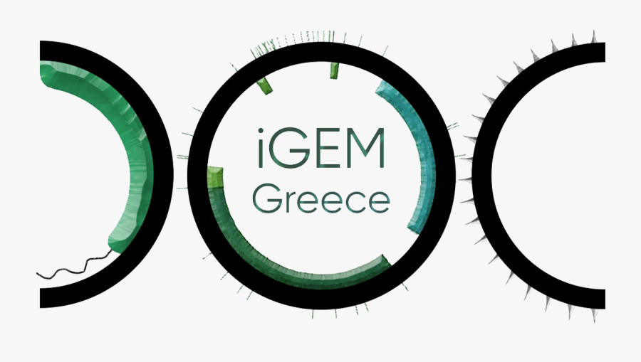 Loading Atlas Gif Transparent, Transparent Clipart