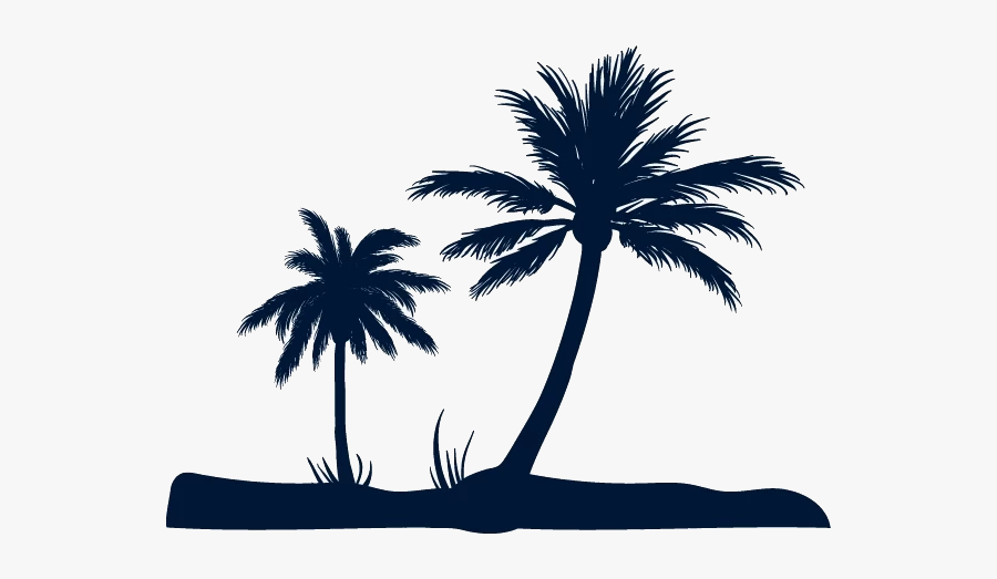 Beach Fundal Euclidean Vector - Coconut Tree Vector Png, Transparent Clipart