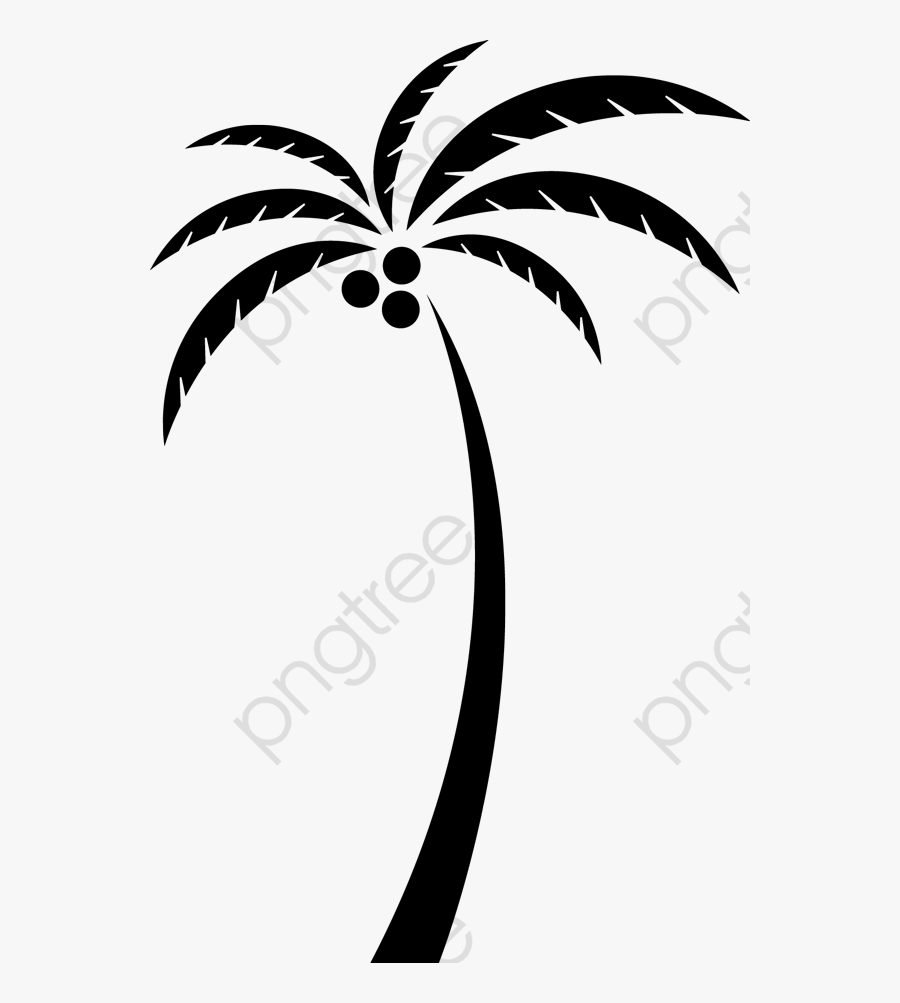 Crazy Clipart Coconut - Coconut Tree Clipart Png, Transparent Clipart