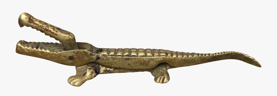 Clip Art San Diego Alligator Lizard - Nile Crocodile, Transparent Clipart