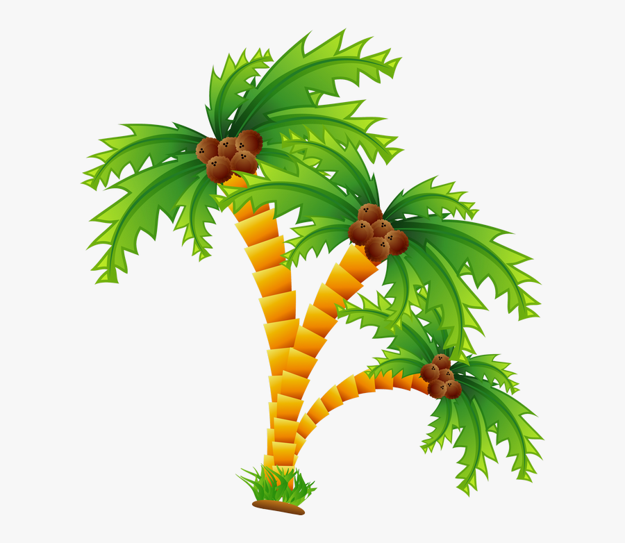 Clipart Beach Coconut Tree - L Isola Dei Sogni, Transparent Clipart