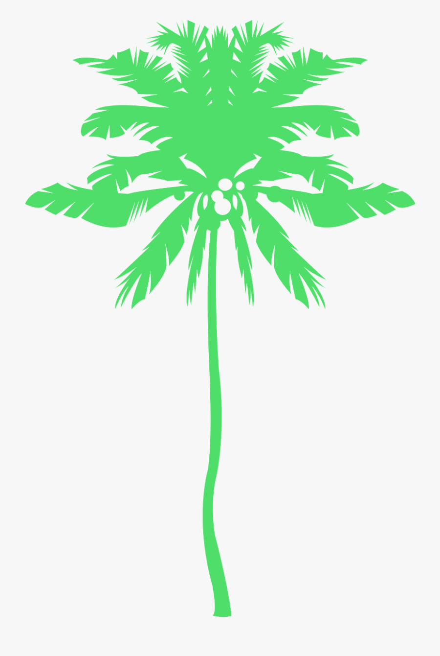 Attalea Speciosa, Transparent Clipart