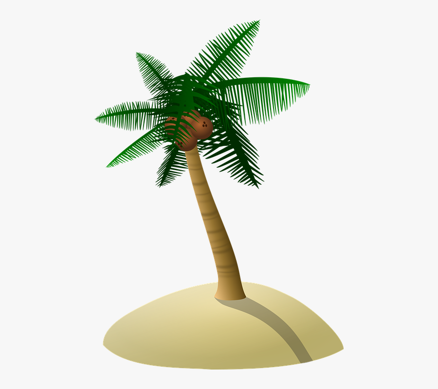 Palm Coconut Tree Icon Symbol Pohon Kelapa Png Free Palm Coconut Tree Icon Symbol Pohon Kelapa Png Free