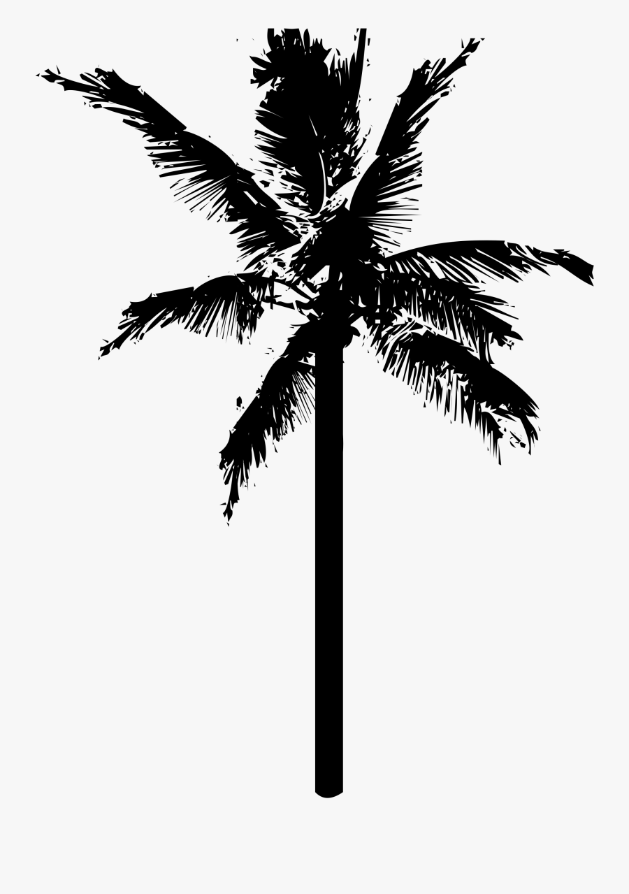 Coconuts Vector Black And White - Coconut Tree Vector Png, Transparent Clipart