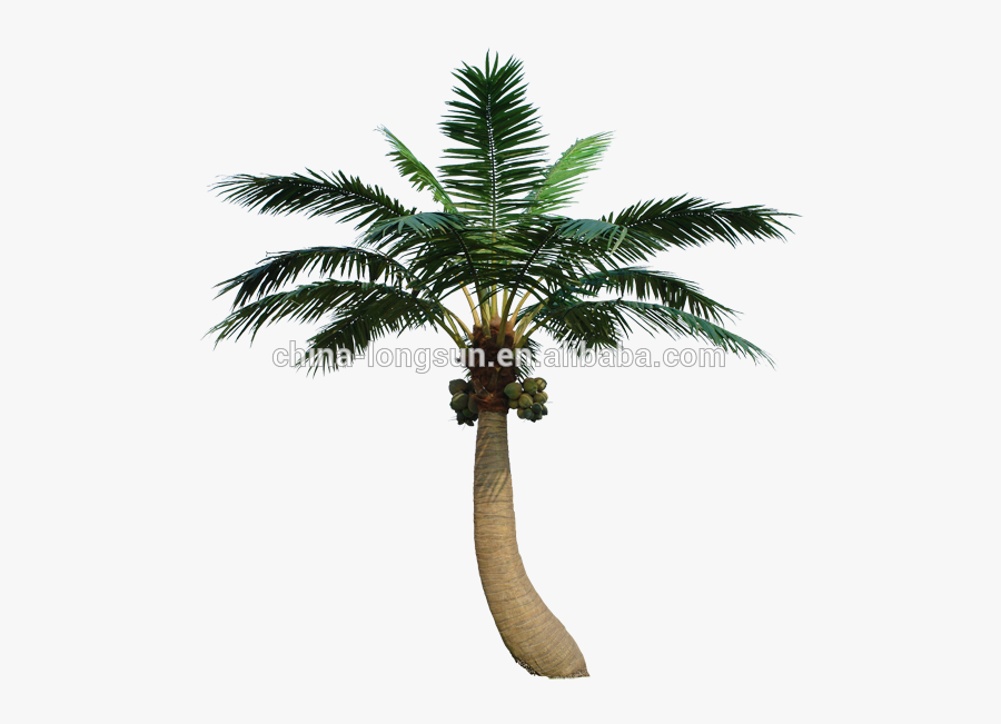 Artificial Plam Tree - Types Of Plants Tree Coconut, Transparent Clipart