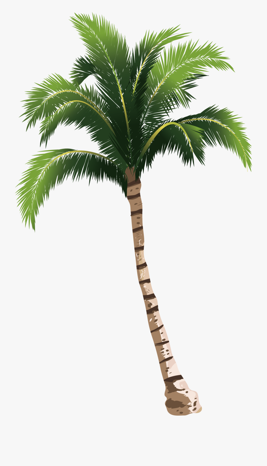 Coconut Tree Hq Image Free Png Clipart - Transparent Coconut Tree Png, Transparent Clipart