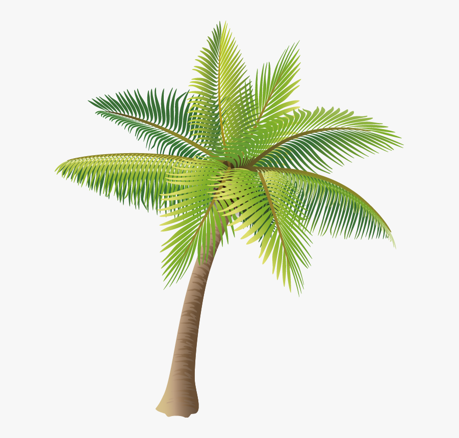 Material Coconut Vector Tree Icon Hd Image Free Png - Coconut Tree Vector Png, Transparent Clipart