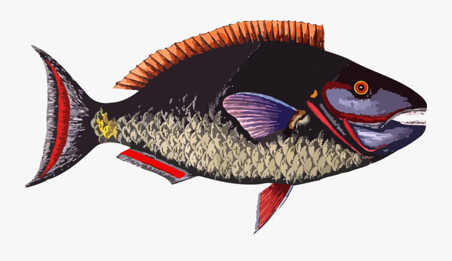 Perch,bony Fish,seafood - People Who Are Allergic To Fish, Transparent Clipart
