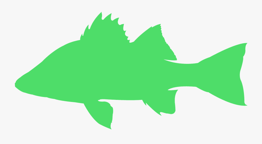 Perch Silhouette, Transparent Clipart