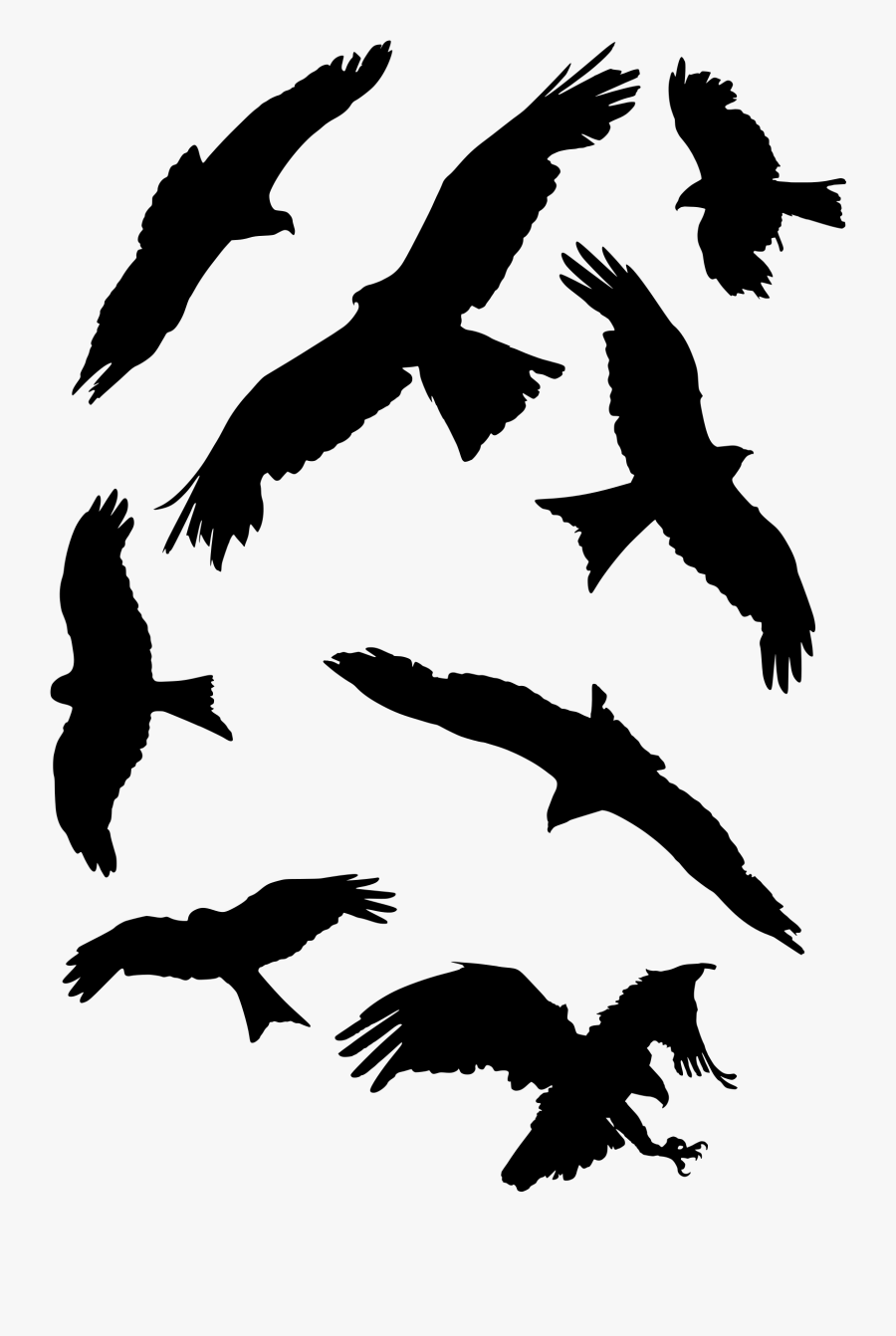 Bird Set Free Falcon Bird Of Prey Beak - かっこいい シルエット 鳥 イラスト, Transparent Clipart